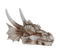 HOUDERCO 1 Pièce De Décoration De Crâne De Dinosaure Décorations De Terrarium Décorations D'Aquarium De Reptiles Crânes Modèle De Faux Crâne Décor De Crâne Couleur Aléatoire