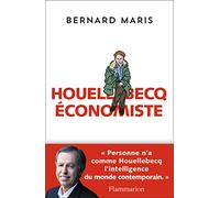 Houellebecq économiste