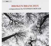 Hough Broken Branches