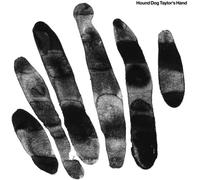 Hound Dog Taylor's Hand