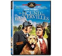 Hound Of The Baskervilles