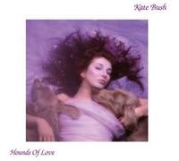 Hounds Of Love
