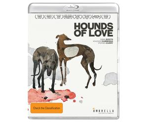 Hounds of Love