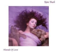Hounds Of Love Vinyle