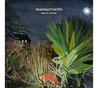 Houndstooth - Ride Out the Dark