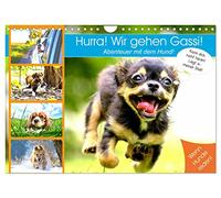 Hourra ! Nous allons nous promener ! Aventure avec le chien ! (Calendrier mural 2026 DIN A4 horizontal), CALVENDO calendrier mensuel