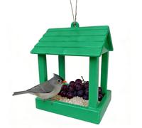 House Bird Feeder Outdoor Food Station | Weather-Resistant Hangable Bird Feeder, Parfait pour Hummingbird, Finch, and Small Birds, Idéal pour Yard, Garden, Balcony, Porch, Or Outdoor Viewing