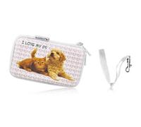 House De Transport Pour Console Nintendo 3ds, Dsi