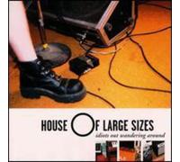 House of Large Sizes - Idiots Out Wandering Around