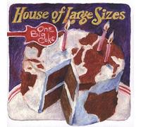 House of Large Sizes - One Big Cake