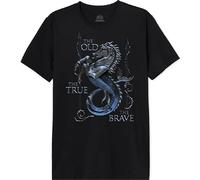 House Of the Dragon MEHOFTDTS013 T-Shirt, Noir, 3XL Homme