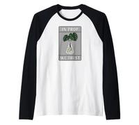 Houseplant Propagation in Prop We Trust Monstera Manche Raglan