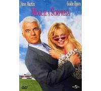 Fais comme chez toi ! (Housesitter) – Universal Pictures