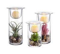 Housewares Lot de 3 Bougies en Verre avec Plantes Grasses décoratives et pavés (Bougie Non Incluse)