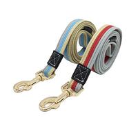 Housoutil 1 Pc Laisse d'agilité pour Chien Laisse de Promenade pour Chien Laisse pour Chiot petg Jeux extérieurs Fournitures pour Animaux Sangle de Traction pour Chien allonger Laisses Corde
