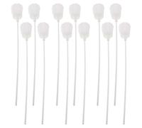 Housoutil 12 Supports Blancs pour Bouquets de Succulentes Mini-Compositions DIY Outils Amovibles pour Assemblage et Emballage Accessoires pour Décoration Intérieure et Fleuristes 12