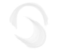 Housoutil 2 Paquets Whiskers for Plush Doll Realistic Cat Whiskers Faux Animal Beard for Needle Felting DIY Craft Supplies and Creative Projects