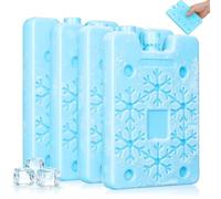 Housoutil 4 Pièces Packs de Glace Réutilisables Légers en PE pour Camping et Boîtes à Lunch, Bloc Réfrigérant Portable pour Activités en Plein Air et Usage Domestique