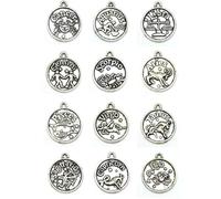 Housoutil 4ensemble Lot de Breloques Rondes Signes Astrologiques Argent Ancien pour Collier DIY Bijoux Femme Pendentifs Créatifs pour Bracelets et Accessoires de Bricolage
