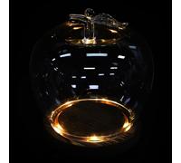 Housoutil Dômes en Verre Transparent Éclairage D'ambiance Chaleureux Lot de 2 avec Base en Bois Lumineux Protection Anti-poussière pour Décoration Intérieure pour Fleurs Séchées et Objets