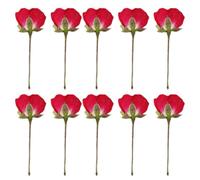 Housoutil Fleurs Pressées Séchées Naturelles 12 Boutons pour Décoration Intérieure et Scrapbooking Matériel Floral Fait Main pour Cadres Photo et Bijoux
