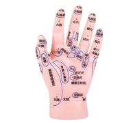 Housoutil Modèle Éducative D'acupuncture de Main Rose Point Simulation Pvc en Réalisé Affichage Précis des Points, Aide pour Institutions Médicales et Salons de Massage