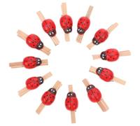 Housoutil Pinces à Linge Bois Insecte Rouge Artisanales, Mini Pinces Déco 100 Pièces pour Photos, Mémos, Friandises, Accessoires Bureau et Décoration Fête