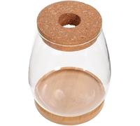 Housoutil Vase à Fleurs en Verre Transparent avec Support en Bambou, Récipient Décoratif pour Plantes Hydroponiques, Décoration Intérieure et Présent Original