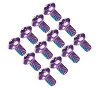 Housoutil Vis en Acier Titane M5X10Mm Violet 12 Pièces Vis de Frein à Disque Compatible VTT Vélo Électrique et Route Usage Frein Arrière