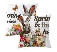 Housse Coussin 30x30 Grand Coussin Pâques Taie Oreiller Lapin Lin Respirable Durable Taie Oreillerr 30x30cm avec Fermeture à Glissière Invisible,Coussins Canape pour Chambre,Chaise,Lit,Jardin,2p530F