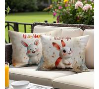 Housse Coussin 30x50 cm Lot de 2, Animal Coussin Exterieur Impermeable Rectangulaire, Lapin Motif Velours Coussins Canape Decoratif Taie Oreiller, pour Printemps été Extérieur Jardin Salon O-4473