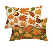 Housse Coussin 30x50 Exterieur Lin Lot de 2 Housse de Coussin Automne -4485
