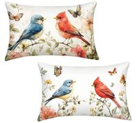 Housse Coussin 30x50 Lot de 2 Velours Coussin Canape Oiseau v-705 | Coussins de Jardin Coussin Decoratif, Taie D'oreiller beige Oreiller Camping, Decoration Maison, Decoration Jardin