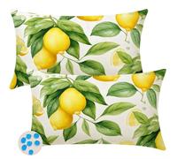 Housse Coussin 40x50 cm Lot de 2 Extérieur Imperméable Housse de Coussin Été Taie D'Oreiller Decoratif Citron Feuilles Vertes Housses Coussins Exterieures pour Canapé Salon Jardin Décoration -SC136