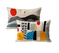 Housse Coussin 40x60 Abstrait Motif Housse Coussin Couleur Velours Taie d'oreiller Rectangulaire Decoration Taie d'oreiller Lot de 2 pour Lit Maison Salon Chambre Chambre Exterieur Jardin L-90