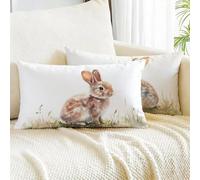 Housse Coussin 40x60 Lot de 2 Lin Taie D'oreiller Brun Taie Oreiller Rectangulaire Lapin Coussin Canape avec Fermeture Éclair Invisible pour Extérieur Jardin Terrasse Déco Printemps Moderne m00-129