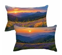 Housse Coussin 40x70 cm Été Coussin Exterieur Impermeable Lin Taie Oreiller avec Fermeture Éclair Invisible Lot de 2 Champ Cushion Covers Rectangulaire pour Jardin Terrasse Decoration Maison 2m-725