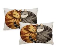 Housse Coussin 40x80 cm Mignon Coussin Exterieur Impermeable Lot de 2 Taie Oreiller Chat Style Velour Pillow Case Rectangulaire Protege Oreiller,pour Extérieur Jardin Coussins Decoratif qq-276