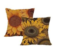 Housse Coussin 45x45 Coussin Automne Taie Oreiller Fleur Velours Respirable et Durable Taie Oreillerr 45x45cm avec Fermeture à Glissière Invisible,Coussins Canape pour Chambre,Chaise,Lit,Jardin,2p642F