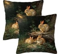 Housse Coussin 50x50cm Lot de 2 Housse de Coussins Lapin Mignon Exterieur Impermeable Canapé Oreiller Lin Décoratif d'oreiller, pour Maison Jardin Chaise Été Décoration Oreiller L5JT-861