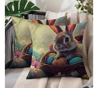 Housse Coussin 60 x 60 cm Pâques Coussin Canape Lapin Exterieur Résistant à L'eau Lot de 2 en Lin Canapé Taie D'oreiller Pure Décoratif Taie d'oreiller pour Salon Chambre Jardin Maison Décor L#1173