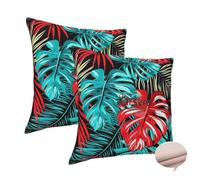 Housse Coussin 60x60 cm 2 Pièces Housse de Coussin Coloré Coussin Decoratif Canape, Carré Housse Coussin Plante Coussin Canapé Taie D'Oreiller, pour Chaise, Maison, Cadeaux, Toutes les saisons -J71