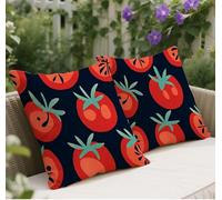 Housse Coussin 70x70 Rouge Automne Coussin Tomate Motif, Velours Decoration Maison Housse Oreiller, Coussins Exterieur Impermeable, Taie Oreiller de Canapé Coussincarré Lot de 2 Salon Décor w-309