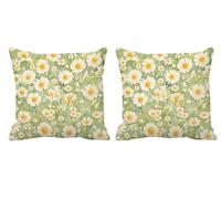 Housse Coussin 70x70cm Vert Sauge Coussin Exterieur Impermeable BlancLot de 2 Carré Gros Lin Double Face Impermé Decoratif Taie Oreiller avec Fermeture éclair Invisible pour Patio,Porche,Jardin -T780