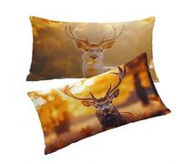 Housse Coussin Couleur Orange Taie Oreiller 40x60cm Animal Housse de Coussin Taie d'oreiller Decoratif Lin Taie Oreiller Lot de 2 Fermeture éclair Invisible pour Decoration Maison Cadeau Femme T0T600
