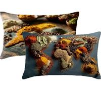 Housse Coussin Cuisine 30x60 Lot de 2 Carte du Monde Exterieur Impermeable Housse de Coussin Canape en Velour Confortable avec Fermeture Éclair Cachée pour Jardin Patio Salon Décoration Maison JK-469