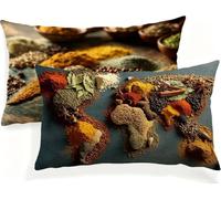 Housse Coussin Cuisine 40x60 Lot de 2 Carte du Monde Exterieur Impermeable Housse de Coussin Canape en Lin Confortable avec Fermeture Éclair Cachée pour Jardin Salon Chambre Décoration Maison JK-469