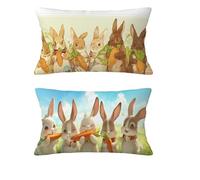 Housse Coussin Lapin Housse Coussin Automne 30x60cm Lot de 2 Taie Oreiller Bleu Coussins de Jardin Velours Oreiller Double Sided Printing pour Balcon Salon Chambre Hiver Halloween Décoration md-747