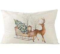 Housse Coussin Noel 50x30, Taie D Oreiller De Noel, Decoration Noel Interieur Maison, Deco Salon Chambre, Décoration Americaine Housse De Coussin Canape Chaise, Idee Cadeau Personnalisé Original (B)