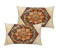 Housse Coussin Rétro 70x90 cm Grande Coussin Exterieur Impermeable Velours Taie Oreiller avec Fermeture à Glissière Invisible, Lot de 2 Brun Cushion Covers Décoratifs de pour Jardin Patio 1B-848